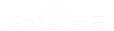 �쳤AI�Ż�